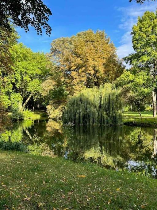 Ein Gemuetlicher Platz Im Gruenderzeitviertel Хемниц Экстерьер фото